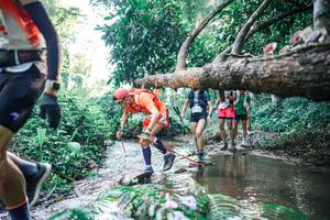 BIB: 
                            <button type="button" onclick="openModal(25432879)" class="btn btn-primary btn-sm float-right btn-popup" data-toggle="modal" data-target=".modal-high-quality">
                        <i class="fas fa-shopping-cart"></i> Add to Cart
                    </button>
                                            <button type="button" onclick="isThisMe(25432879, true)" class="btn btn-success btn-sm float-right btn-popup btn-isme hidden" data-toggle="tooltip" data-placement="bottom" title="นี่คือรูปของคุณใช่ไหม คลิกที่นี่เพื่อเอาเข้าอัลบั้ม">
                        <i class="fas fa-plus"></i> Add to album
                    </button>
                    <button type="button" onclick="isThisMe(25432879, false)" class="btn btn-warning btn-sm float-right btn-popup btn-isnotme hidden">
                        <i class="fas fa-ban"></i> Remove from album
                    </button>